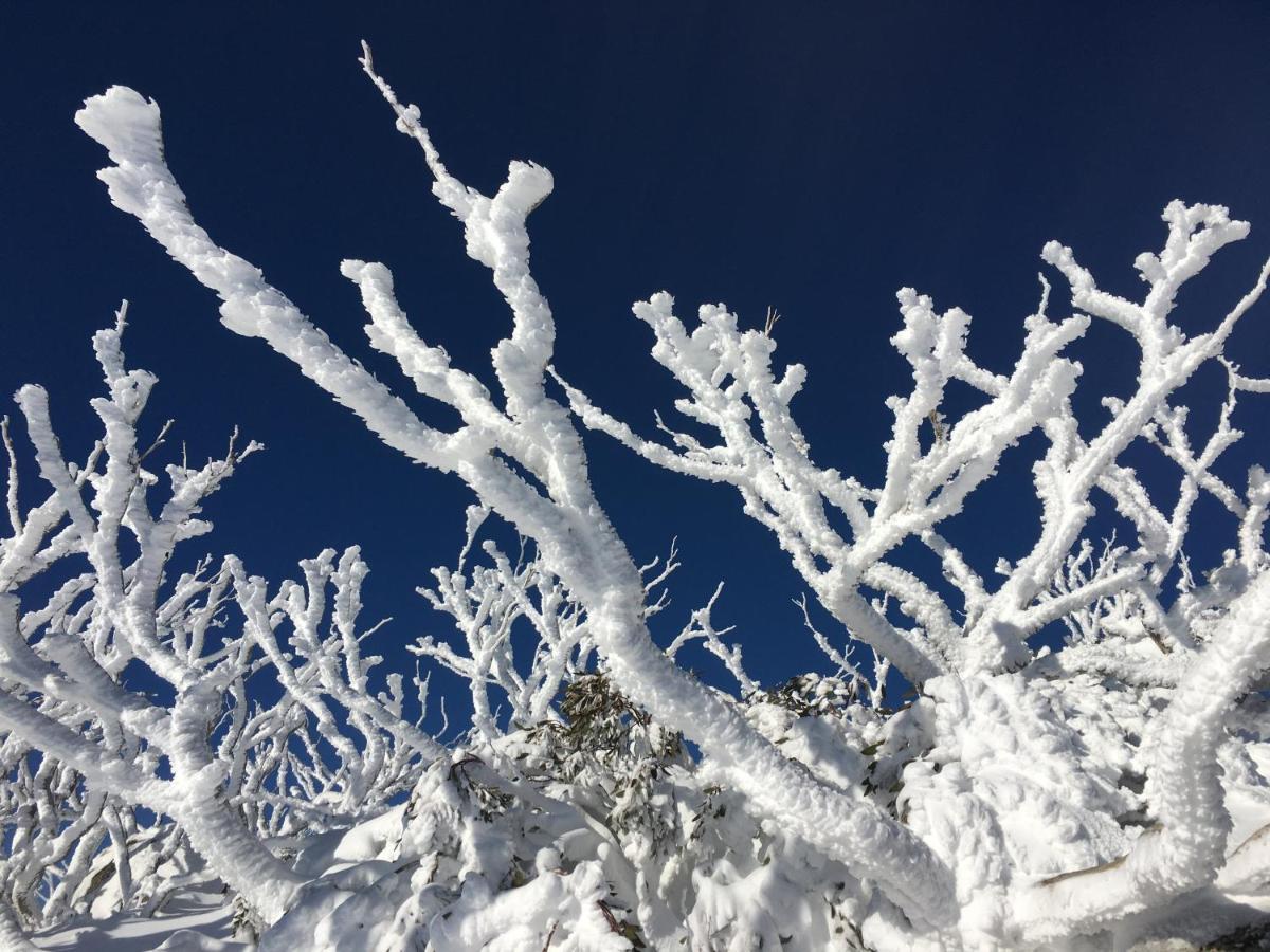Swagman Chalet Dolina Perisher Zewnętrze zdjęcie